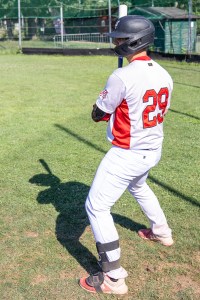 Austrian Baseball Federation