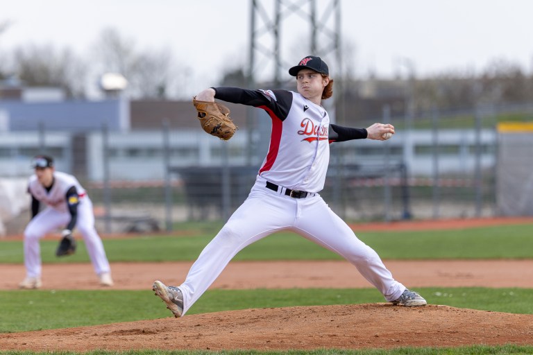 Diving Ducks Wiener Neustadt