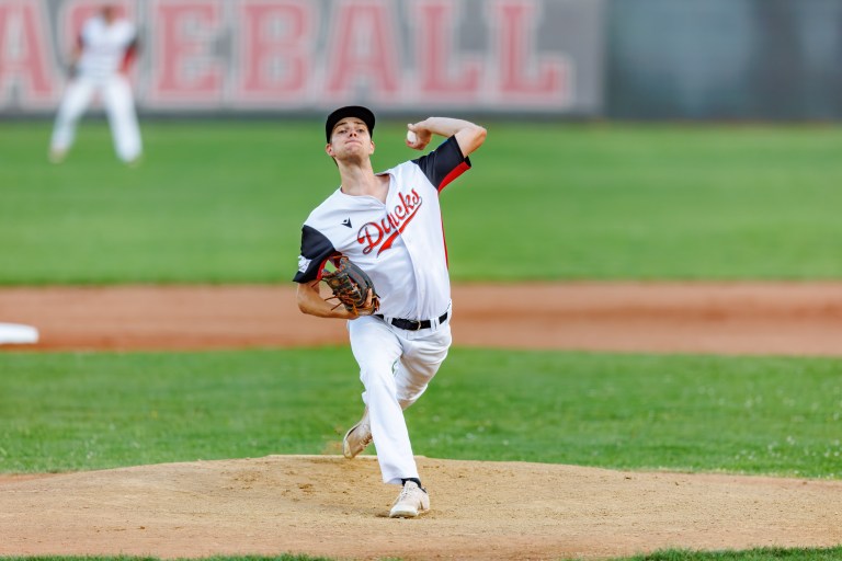 Diving Ducks Wiener Neustadt