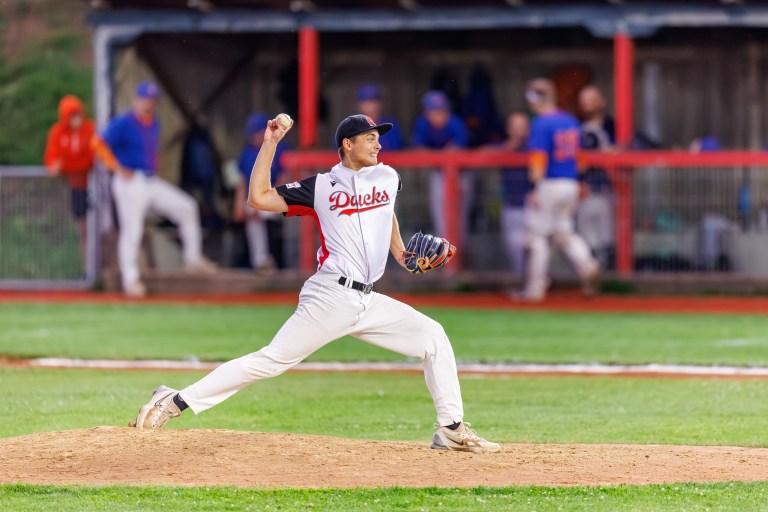 Diving Ducks Wiener Neustadt