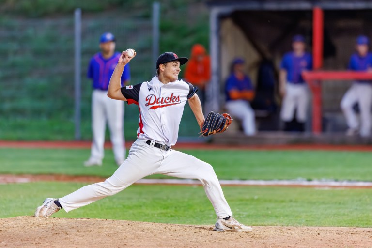 Diving Ducks Wiener Neustadt