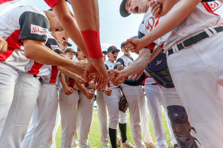 Diving Ducks Wiener Neustadt