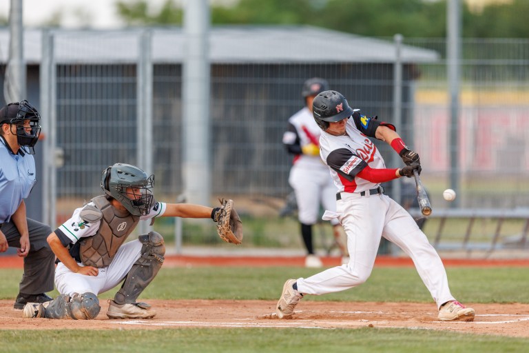 Diving Ducks Wiener Neustadt