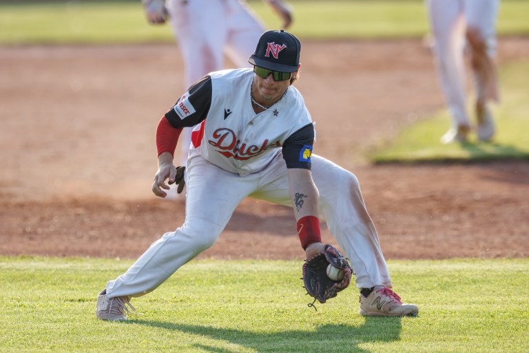 Diving Ducks Wiener Neustadt